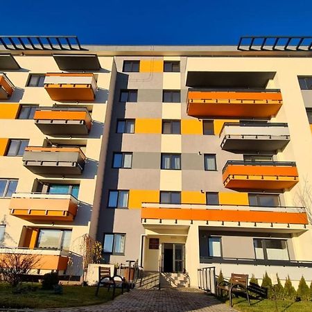 Cozy Studio Leilighet Braşov Eksteriør bilde