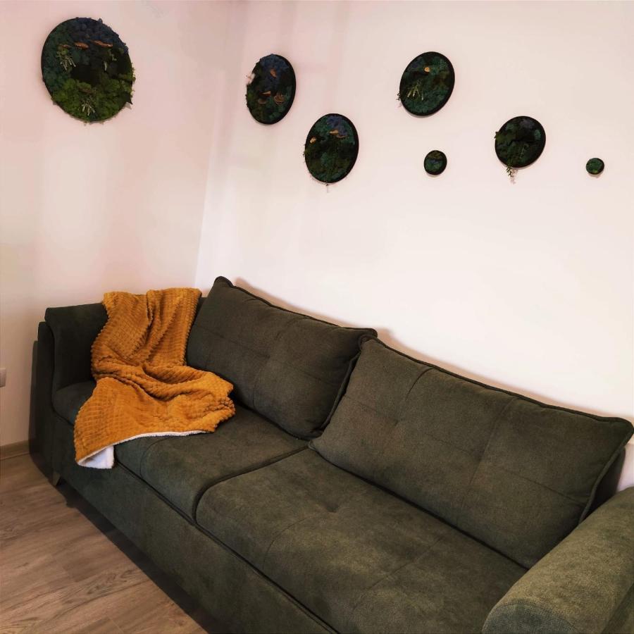 Cozy Studio Leilighet Braşov Eksteriør bilde