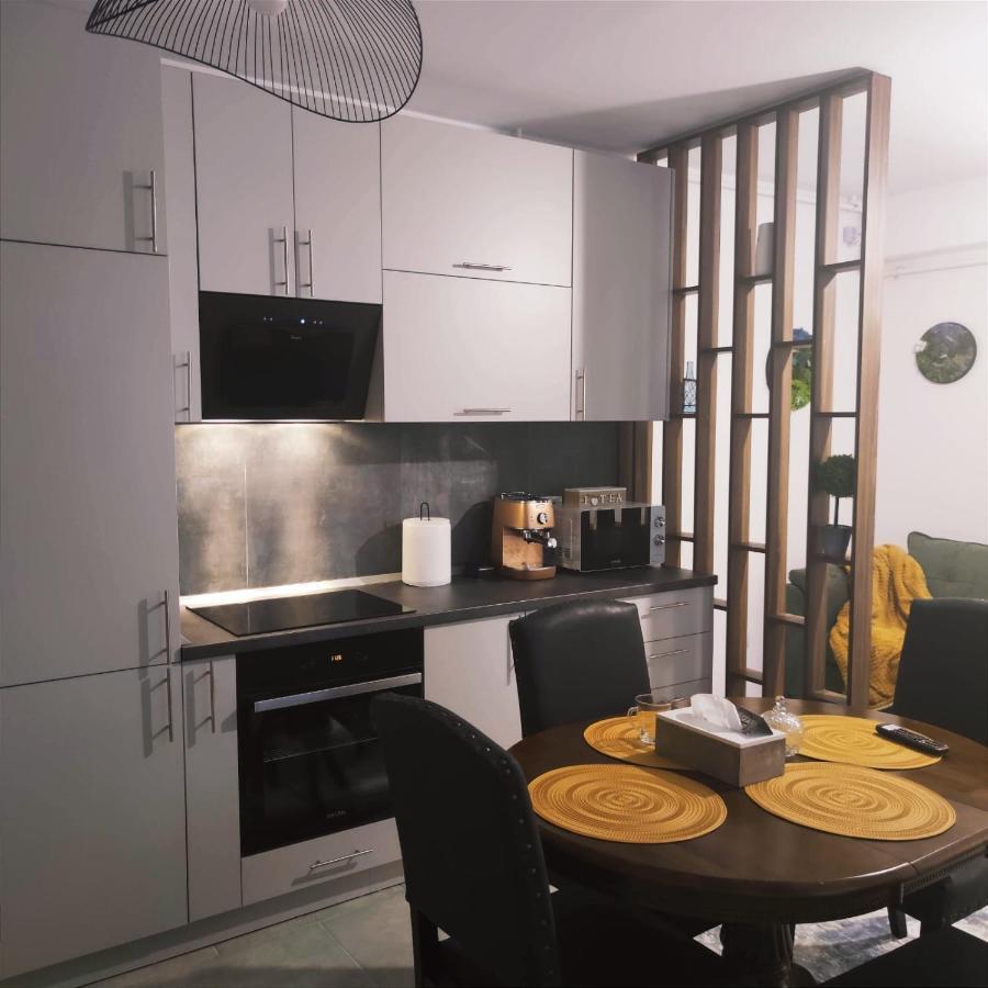 Cozy Studio Leilighet Braşov Eksteriør bilde