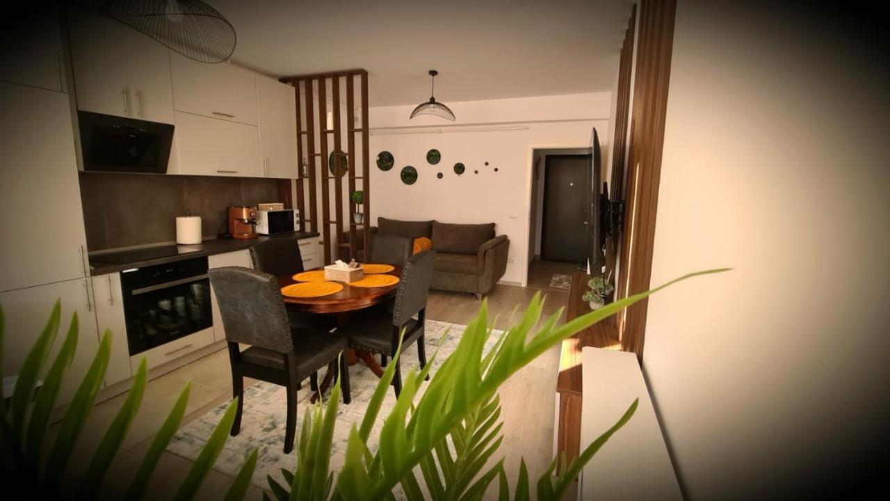 Cozy Studio Leilighet Braşov Eksteriør bilde