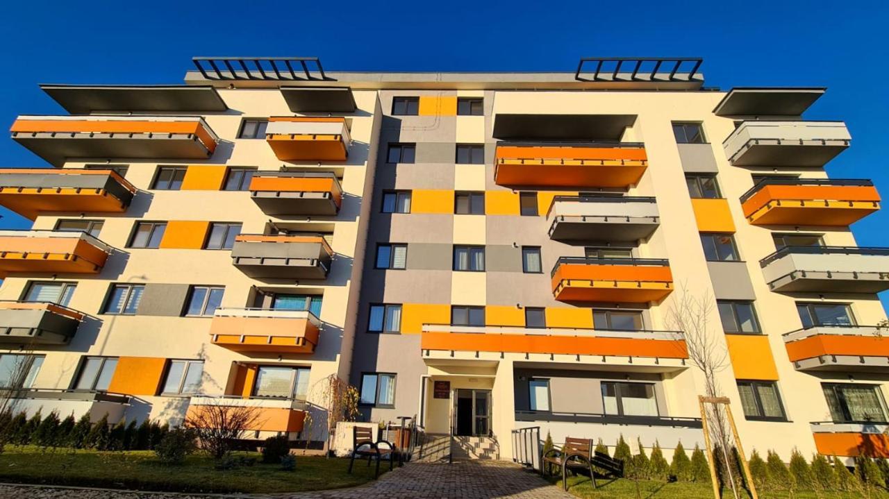 Cozy Studio Leilighet Braşov Eksteriør bilde